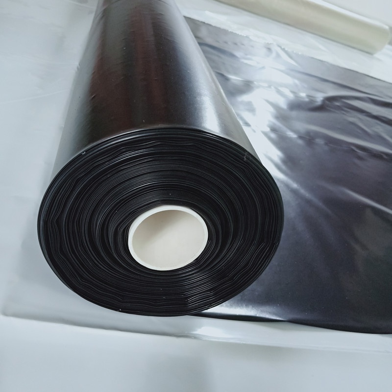 Màng lót - Màng phủ